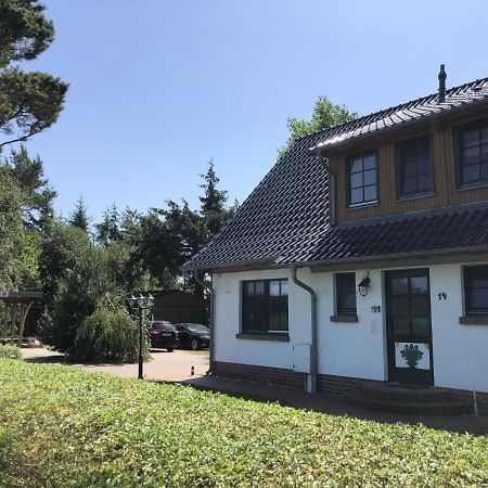 Haus Hugo Zingst Apartment Bagian luar foto