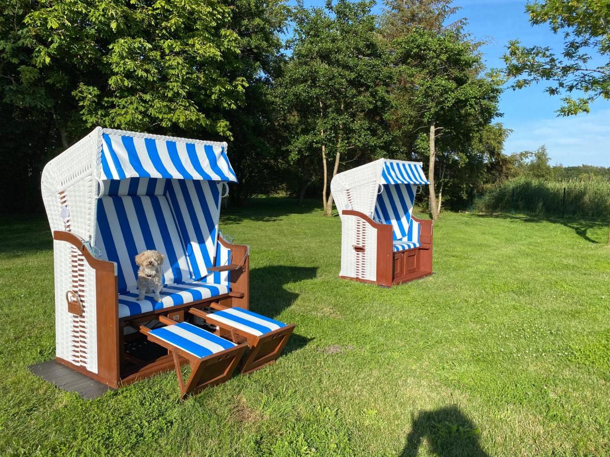 Haus Hugo Zingst Apartment Bagian luar foto
